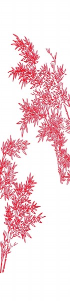 红楼画梦人 红楼画梦人