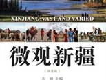 《微观新疆》：轻松阅读体验大美